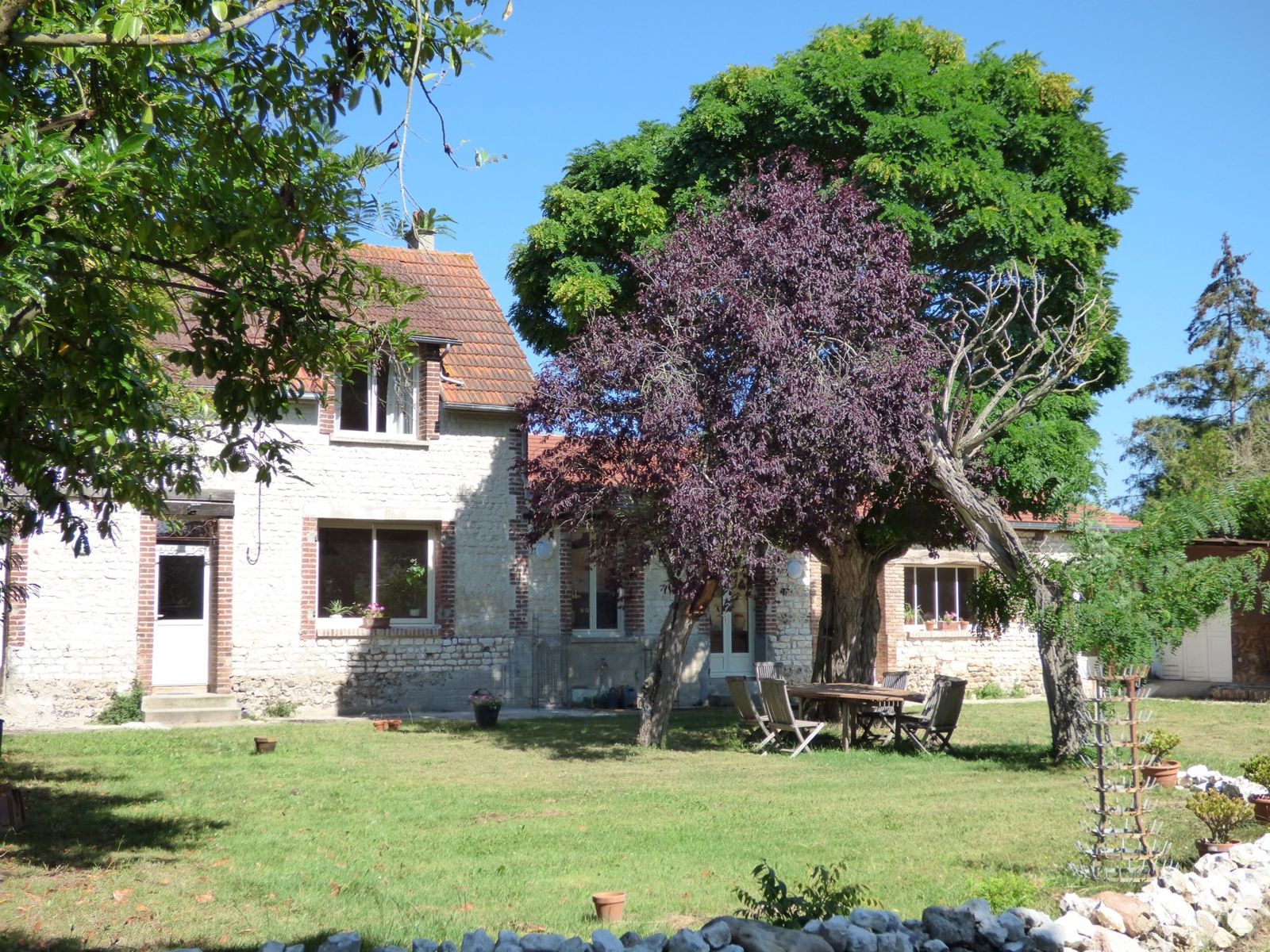 La maison en pierre et brique vue du jardin, avec son grand hêtre pourpre